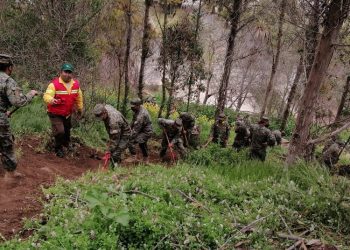678 efectivos del Ejército y la Armada fueron capacitados por Conaf en el combate de incendios forestales en la Región de Valparaíso