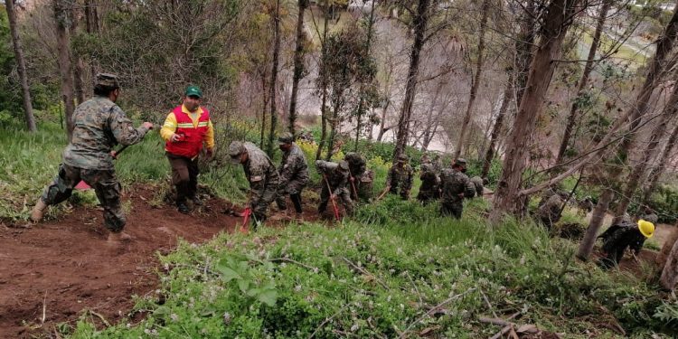 678 efectivos del Ejército y la Armada fueron capacitados por Conaf en el combate de incendios forestales en la Región de Valparaíso