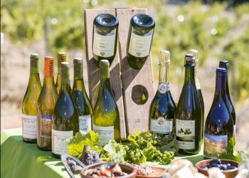 Desde Marga Marga para el mundo: vinos naturales de la zona se exportan a países de Europa y América