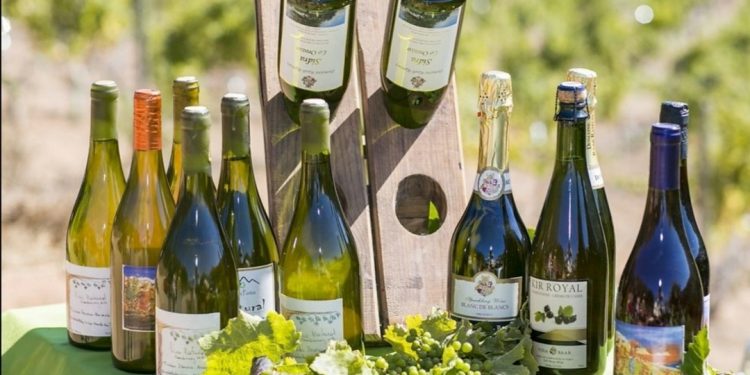 Desde Marga Marga para el mundo: vinos naturales de la zona se exportan a países de Europa y América