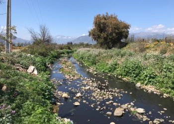 Municipalidad de Olmué deberá realizar auditoría y plan de mejoras a planta de tratamiento de aguas servidas tras orden del Tribunal Ambiental