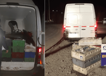 En Valparaíso Sernapesca incauta una tonelada de merluza de procedencia ilegal