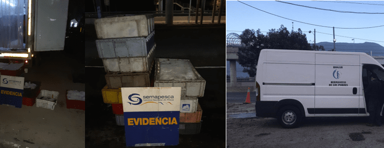 Más de 3 toneladas de pesca ilegal son incautadas por Sernapesca en control carretero