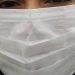 Mujer que fue vocal de mesa en el plebiscito en Valparaíso fue diagnosticada con COVID-19