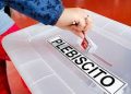 Ya comenzó el plebiscito: chilenos en Nueva Zelanda fueron los primeros en votar