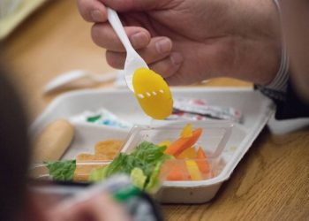 Lanzan “Red Hambre Cero”, que busca unir a personas y organizaciones sociales del país para velar por el derecho a la alimentación en la nueva Constitución