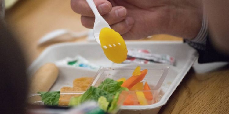 Lanzan “Red Hambre Cero”, que busca unir a personas y organizaciones sociales del país para velar por el derecho a la alimentación en la nueva Constitución