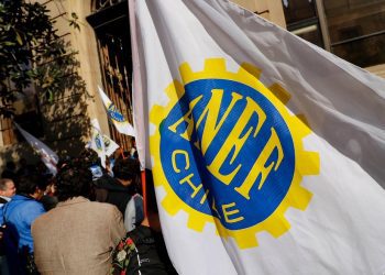 ANEF califica como «un triunfo histórico» la promulgación de la Ley de Tutela Laboral para funcionarios públicos