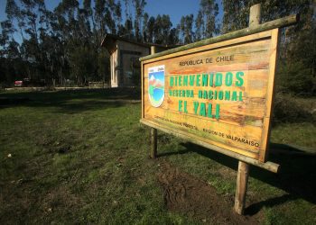 Tras nueve meses el Santuario Laguna El Peral y la Reserva El Yali reabren sus puertas al público