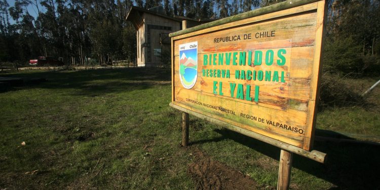 Tras nueve meses el Santuario Laguna El Peral y la Reserva El Yali reabren sus puertas al público