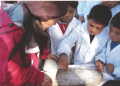 Especialista en Nutrición de la UPLA valora los cambios en el programa de alimentación escolar