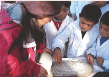Especialista en Nutrición de la UPLA valora los cambios en el programa de alimentación escolar