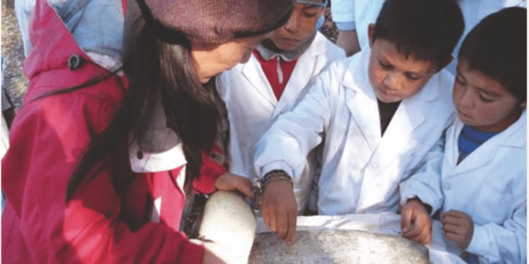 Especialista en Nutrición de la UPLA valora los cambios en el programa de alimentación escolar