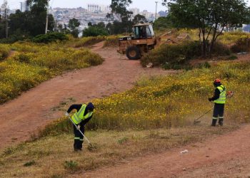 Plan de prevención de incendios forestales: en Viña del Mar aumentan extensión de cortafuegos