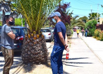 Especialista entrega claves para que el retorno a las actividades fuera de casa sea menos complejo