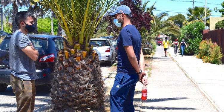 Especialista entrega claves para que el retorno a las actividades fuera de casa sea menos complejo