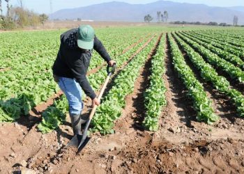 Senadora Allende expresa su descontento por reavalúo de bienes raíces que afecta a pequeños agricultores