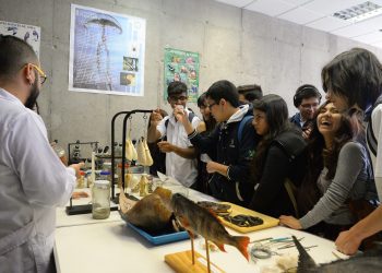 Investigadoras de la Región de Valparaíso abogan por una ciencia no sexista en planteles educacionales de la zona