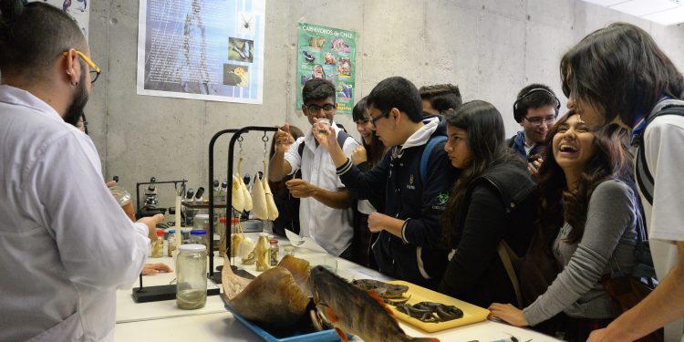 Investigadoras de la Región de Valparaíso abogan por una ciencia no sexista en planteles educacionales de la zona