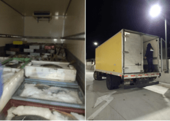 Valparaíso: exitoso operativo de fiscalización permitió incautar más de 2 toneladas de pesca ilegal