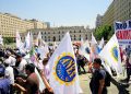 Ley de tutela laboral para funcionarios públicos: principales alcances