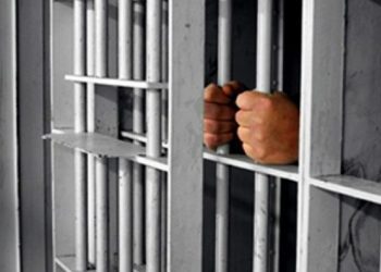 Proyecto de indulto: senadora Allende enfatiza que responde al abuso de la persecución penal