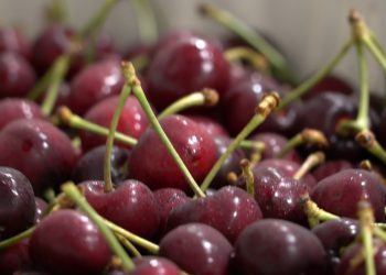 Exportación chilena de cerezas: chinos no perdonan la falta del «palito» en la fruta