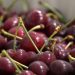 Exportación chilena de cerezas: chinos no perdonan la falta del «palito» en la fruta