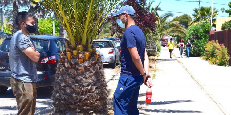 COVID-19: advierten sobre efectos del uso de mascarillas