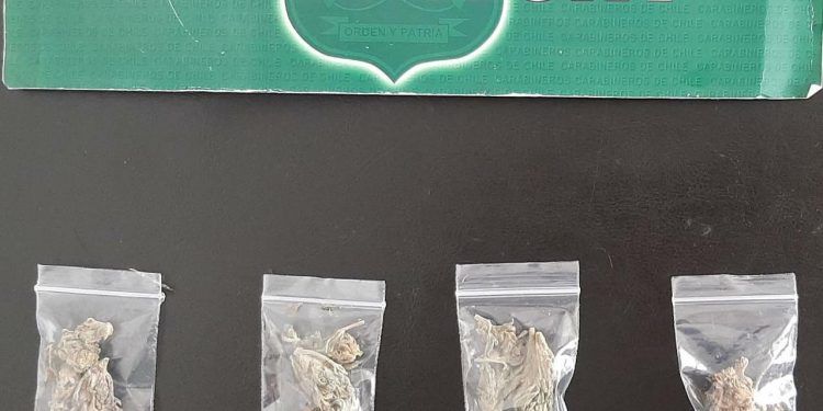 Por microtráfico detienen a vendedora en Feria Navideña de Valparaíso