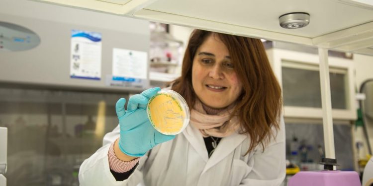 Hacen llamado a incorporar a las pymes en los procesos de aplicación de nuevas tecnologías