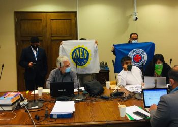 Desde la ANEF piden al Senado mejorar proyecto de reajuste para el sector público