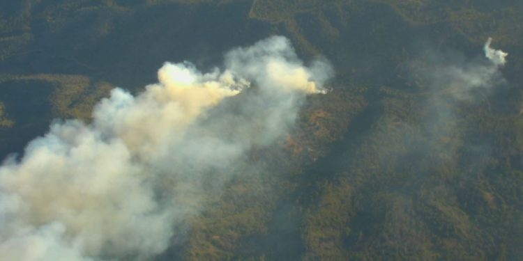 Declaran Alerta Roja en Valparaíso por incendio forestal en Reserva Lago Peñuelas
