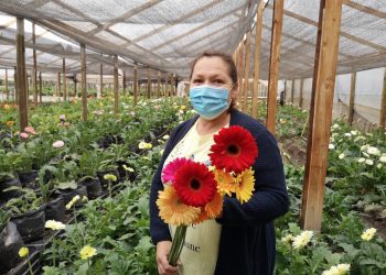 Entregan bono de emergencia a floricultores de la Región de Valparaíso afectados por la sequía y la pandemia