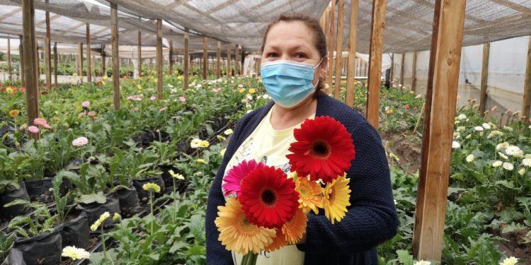 Entregan bono de emergencia a floricultores de la Región de Valparaíso afectados por la sequía y la pandemia