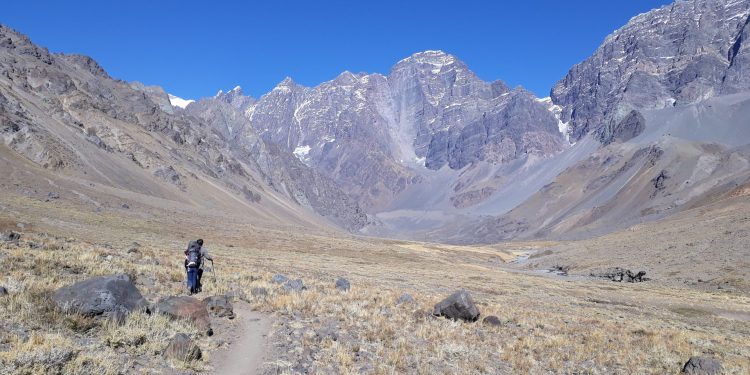 Investigación internacional sobre microorganismos acuáticos será liderada por científica de la UPLA