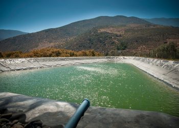 En 2021 la agricultura familiar campesina tendrá fuerte incremento en presupuesto para proyectos de riego