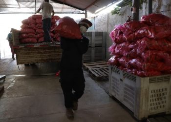 Alimentación escolar: pequeños agricultores abastecen con sus productos a Junaeb
