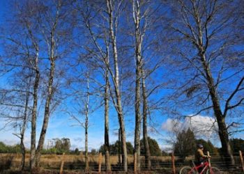 $49.500 millones son transferidos por la Subdere a municipios como compensación por predios exentos