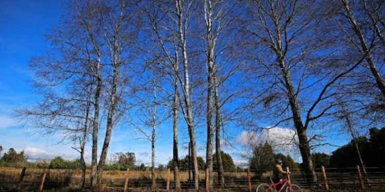 $49.500 millones son transferidos por la Subdere a municipios como compensación por predios exentos