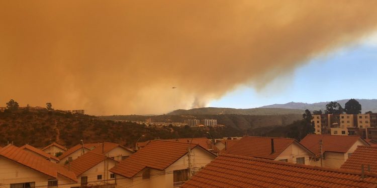 Especialista entrega recomendaciones para evitar efectos negativos de incendios forestales en la salud de las personas