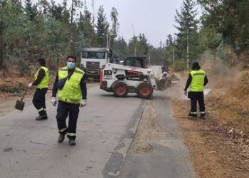 Valparaíso: realizan labores de limpieza y desmalezado en Placilla de Peñuelas