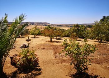 Entregan recomendaciones para ir de camping en modo COVID-19