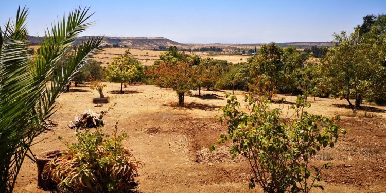 Entregan recomendaciones para ir de camping en modo COVID-19