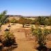 Entregan recomendaciones para ir de camping en modo COVID-19