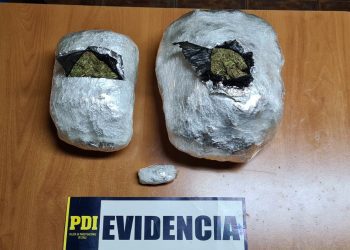 Can de la PDI detecta droga oculta en equipaje de bus interprovincial en El Melón