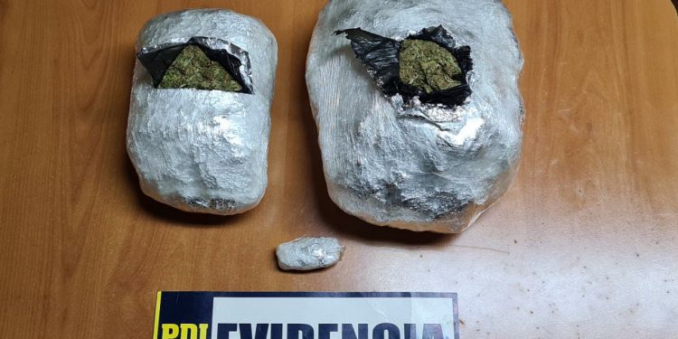 Can de la PDI detecta droga oculta en equipaje de bus interprovincial en El Melón