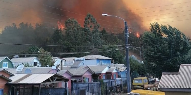 Evacuan Villa Esmeralda de Purén por avance de incendio forestal que mantiene con alerta roja a la comuna