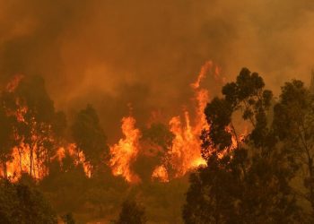 Piden urgencia para proyecto que aumenta las sanciones a quienes de manera intencional provoquen incendios
