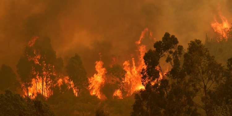 Piden urgencia para proyecto que aumenta las sanciones a quienes de manera intencional provoquen incendios